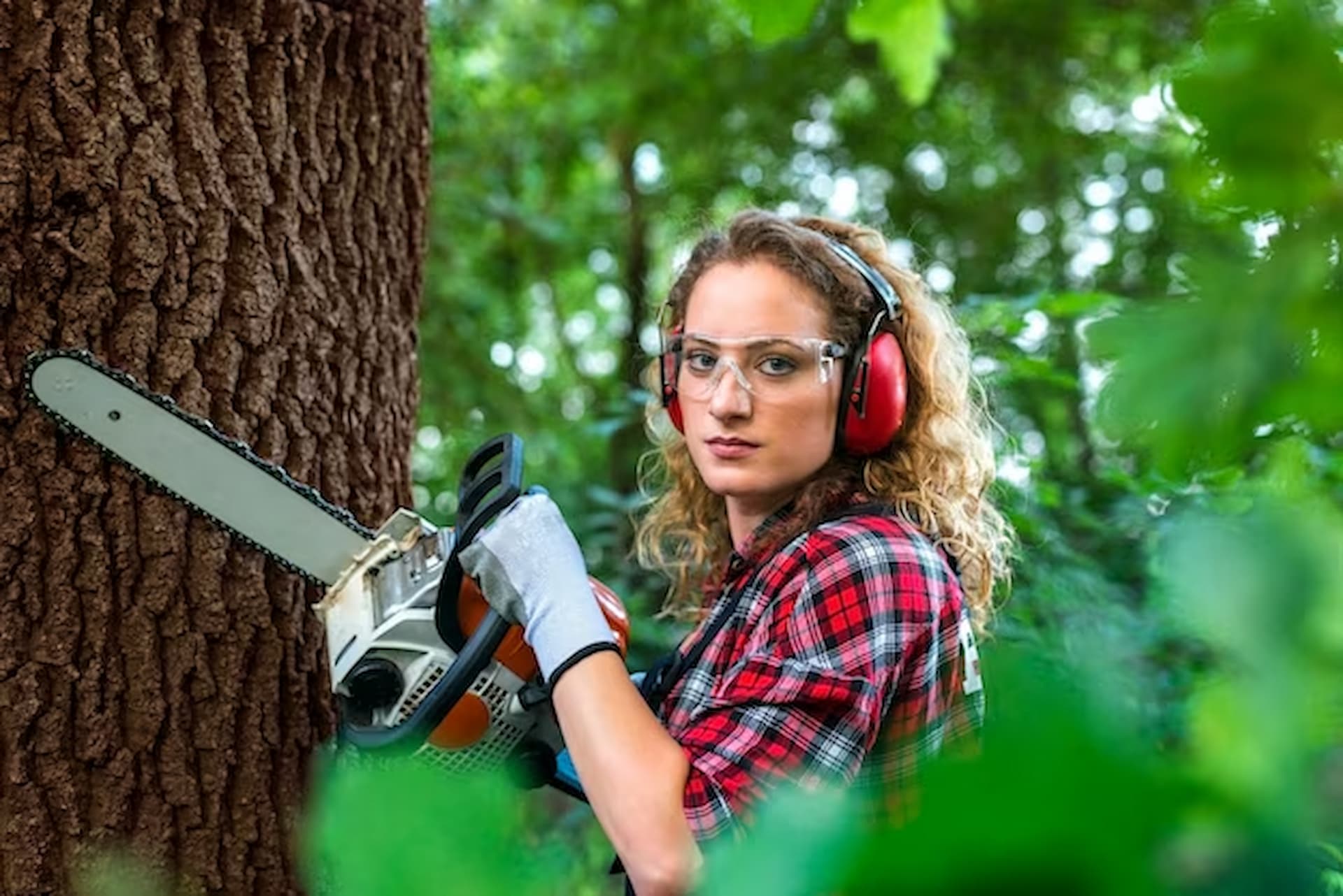 Why You Might Need A Tree Surgeon This Spring